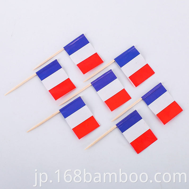 France toothpick flag